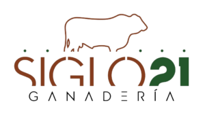 GANADERIA SIGLO 21 OK