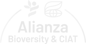 2. Logo Alianza Bioversity CIAT PNG