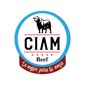 CIAM 300 300