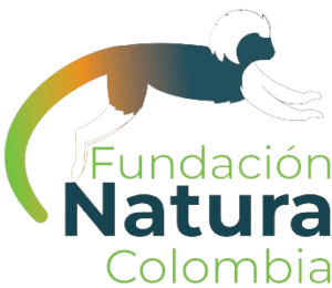 Logo Fundación Natura sin fondo 01